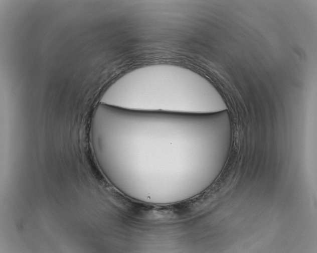 X0000112740270200908201041