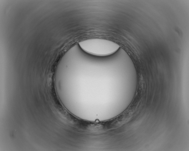 X0000112740271200908201041