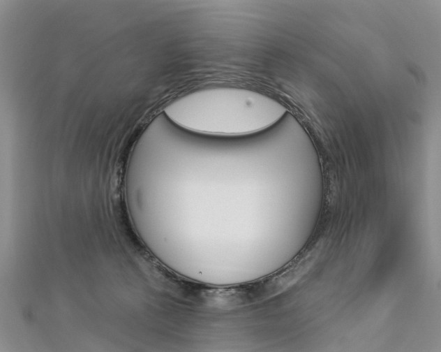 X0000112740273200908201041