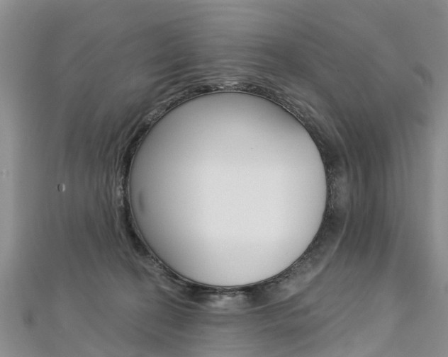 X0000112740274200908201041