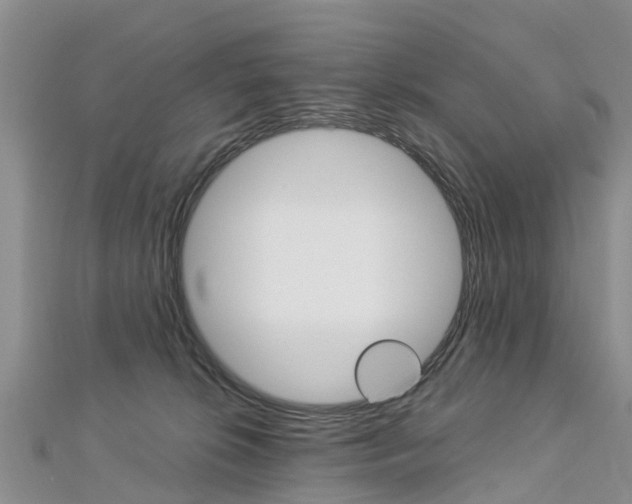 X0000112740276200908201041