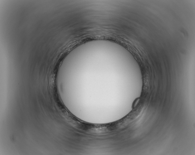 X0000112740278200908201041