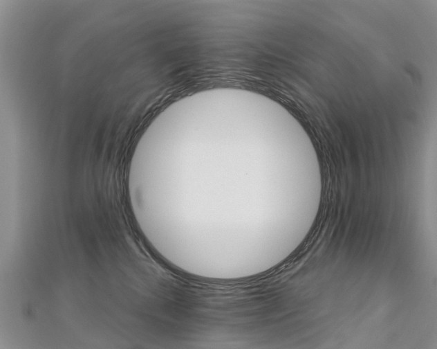 X0000112740280200908201041