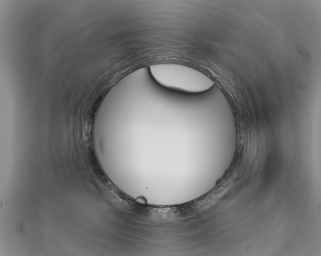 X0000112740281200908201041