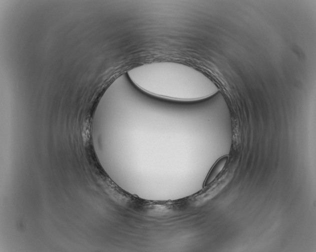 X0000112740285200908201041