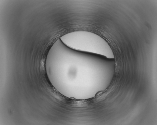 X0000112740286200908201041
