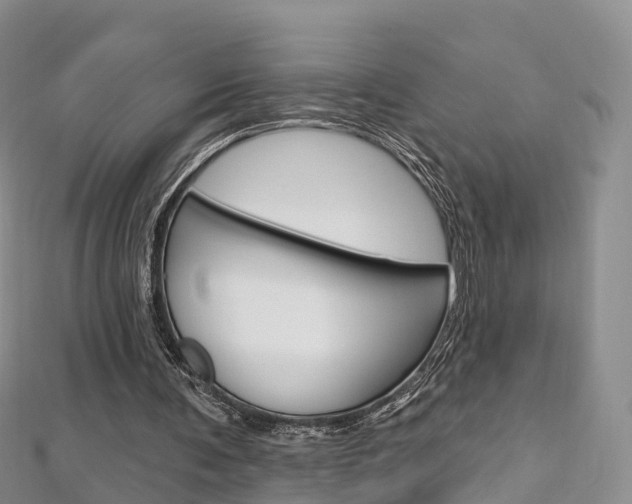 X0000112740291200908201041