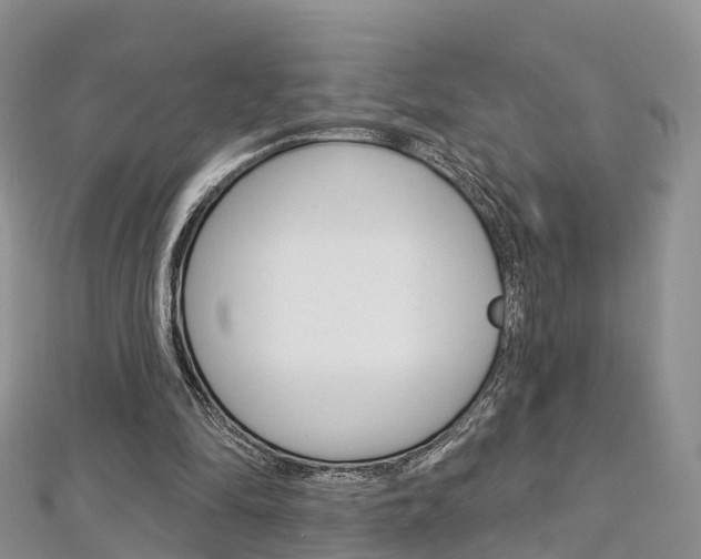 X0000112740294200908201041