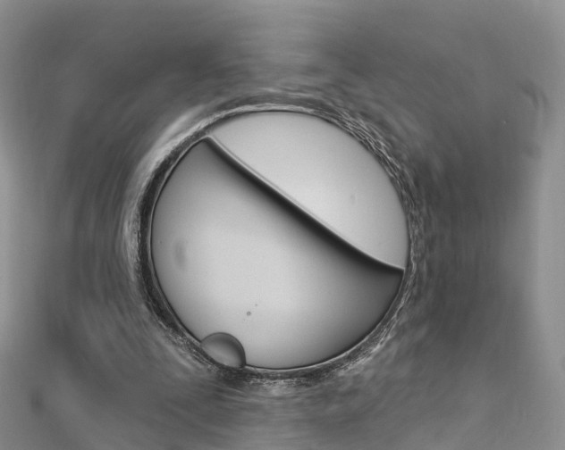 X0000112740295200908201041