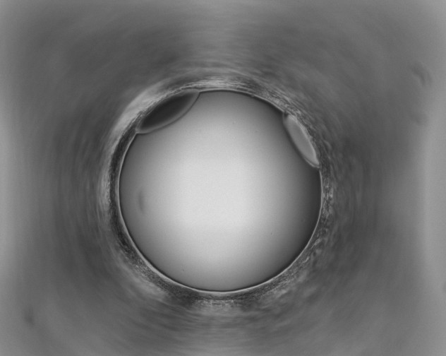 X0000112740296200908201041