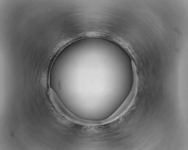 X0000112740297200908201041