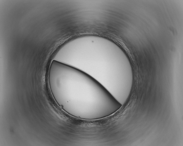 X0000112740299200908201041