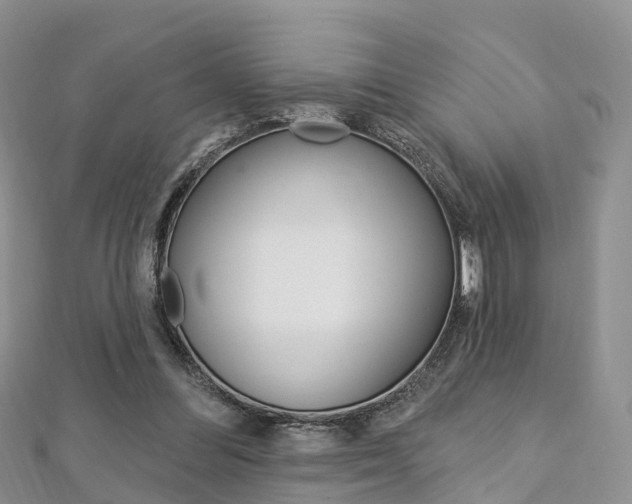 X0000112740300200908201041