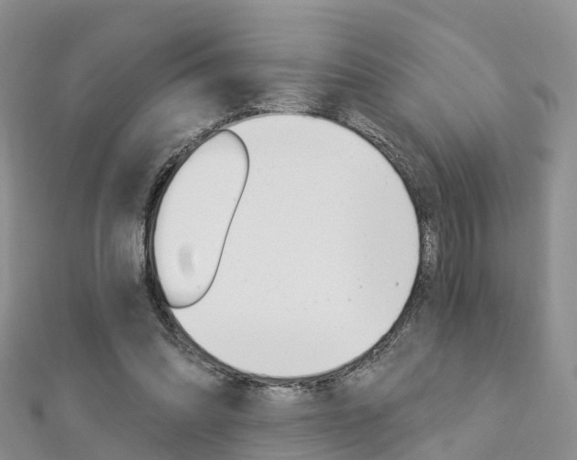X0000112740302200908201041
