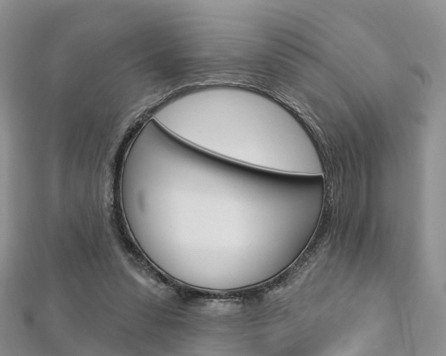 X0000112740303200908201041