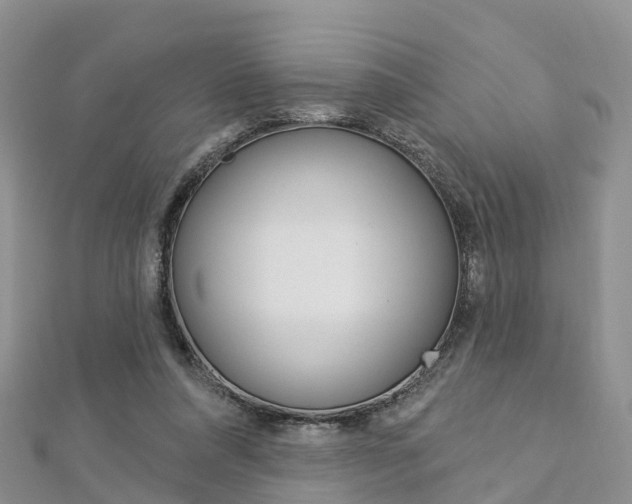 X0000112740304200908201041