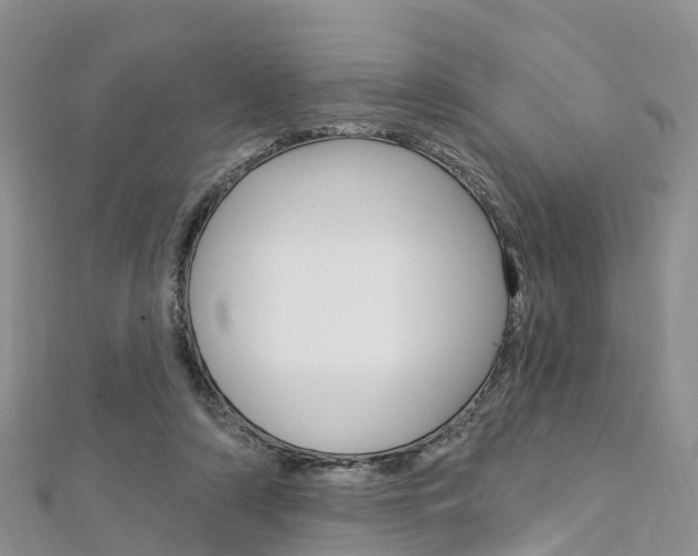 X0000112740306200908201040