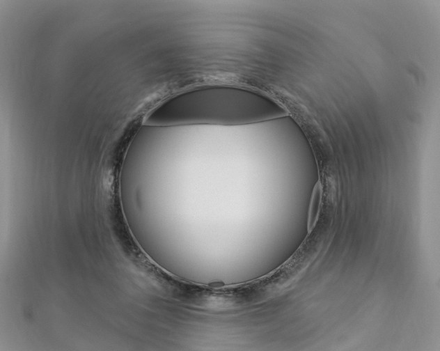 X0000112740308200908201040