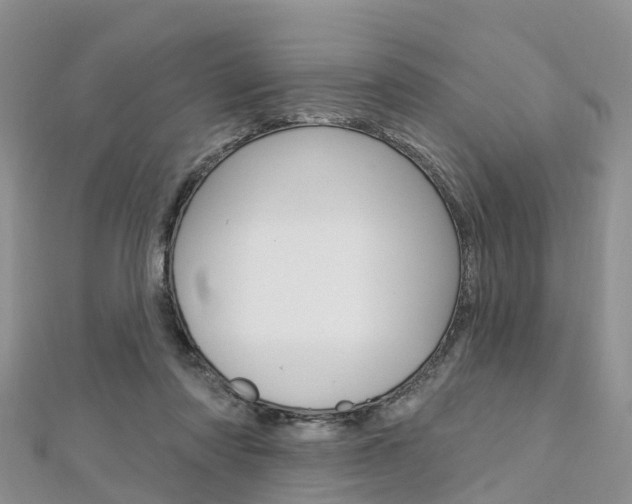 X0000112740310200908201040