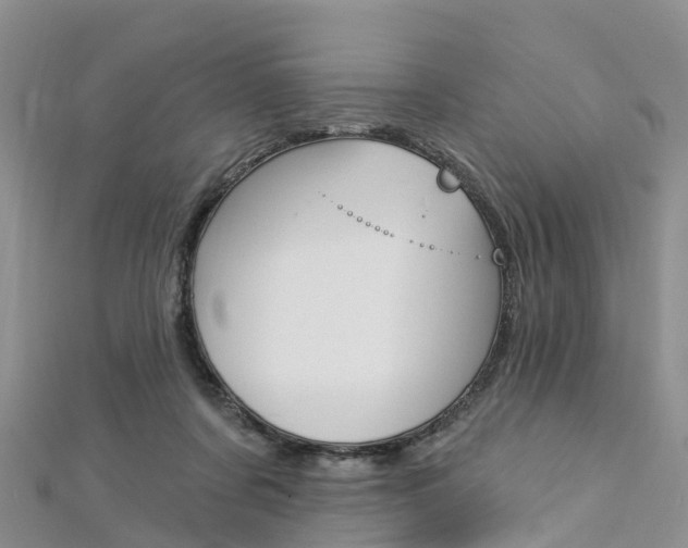 X0000112740311200908201040