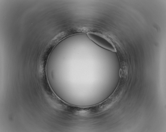 X0000112740312200908201040