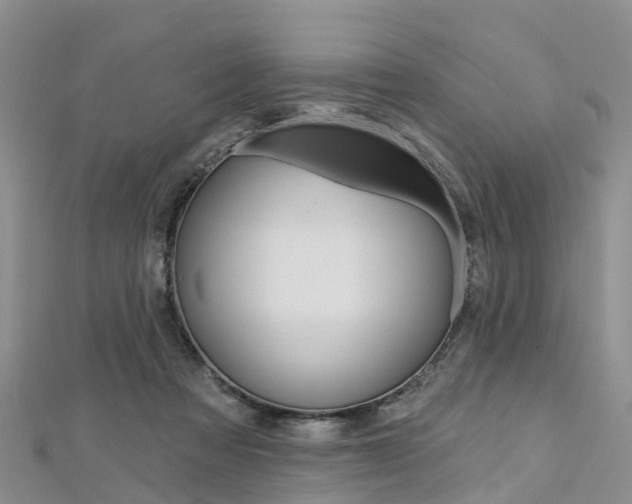 X0000112740313200908201040