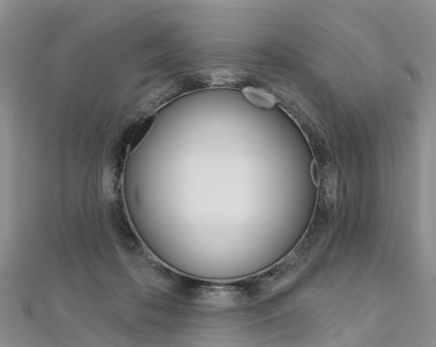 X0000112740316200908201040