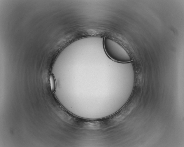 X0000112740317200908201040