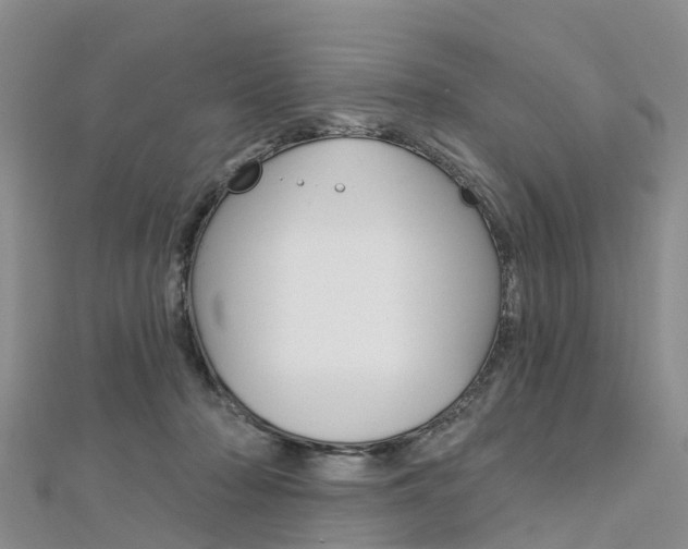 X0000112740318200908201040