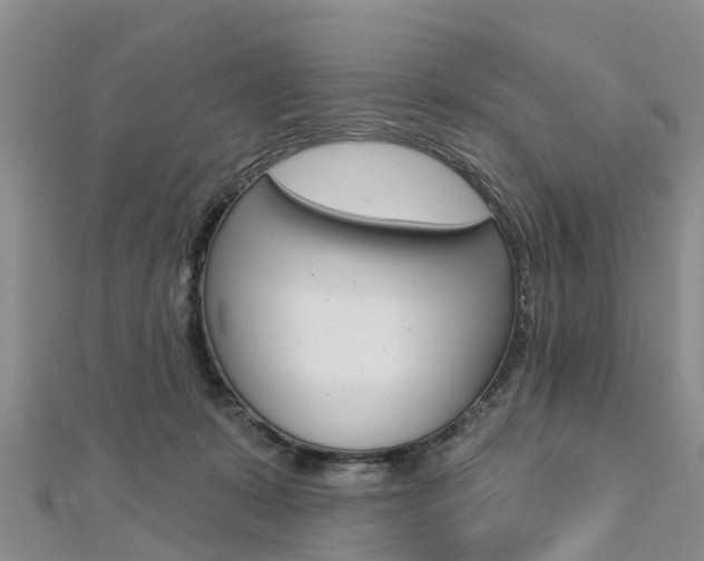 X0000112740319200908201040