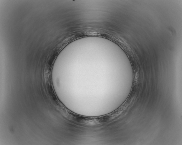 X0000112740322200908201040