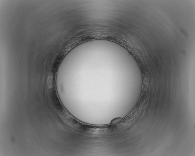 X0000112740323200908201040