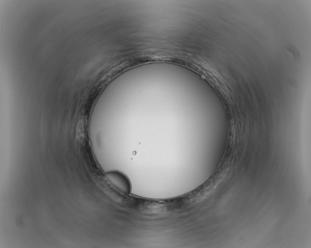 X0000112740325200908201040