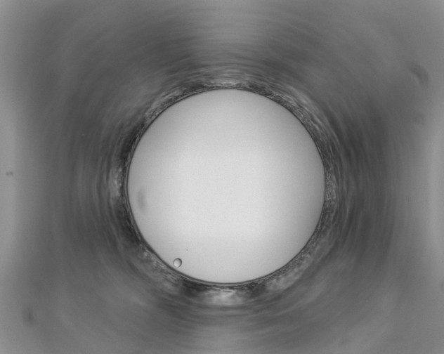 X0000112740326200908201040