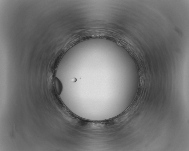 X0000112740327200908201040