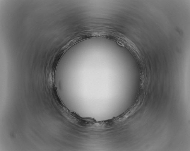 X0000112740329200908201040