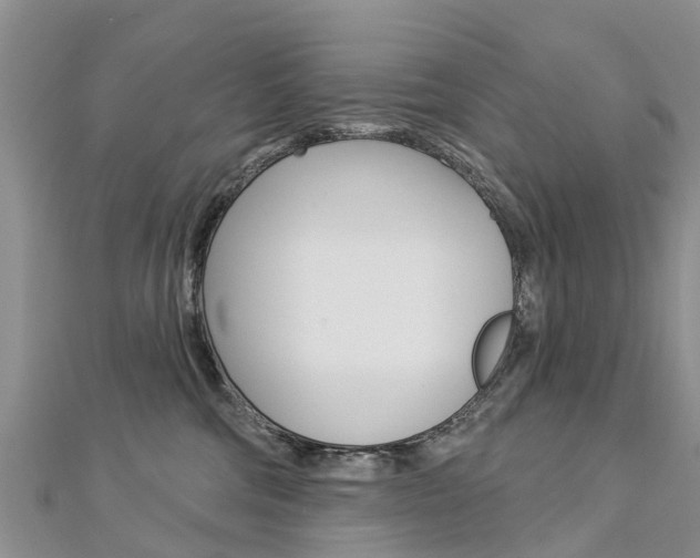 X0000112740330200908201040