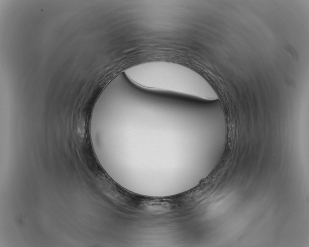 X0000112740331200908201040