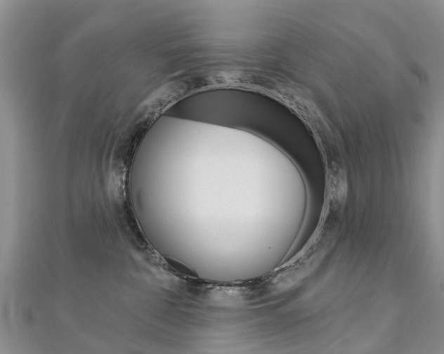 X0000112740332200908201040