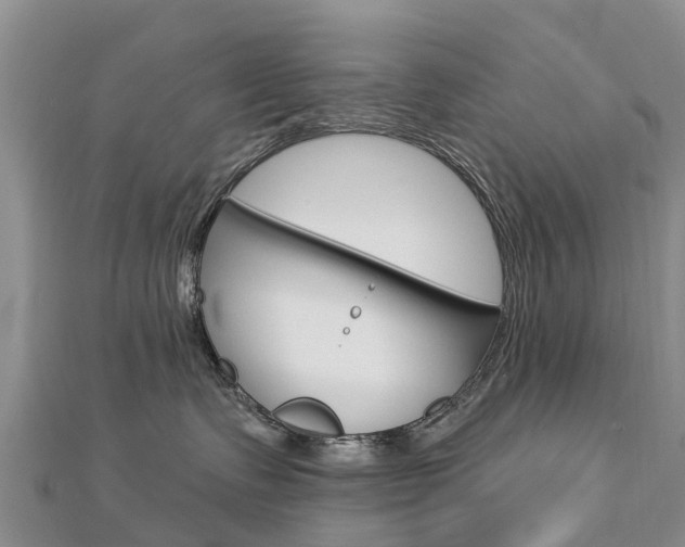 X0000112740335200908201040