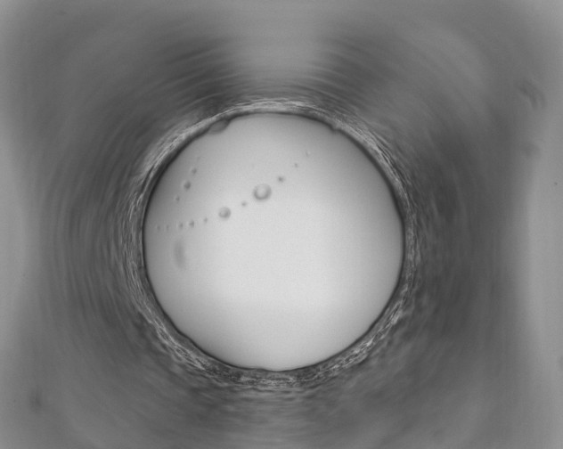 X0000112740337200908201039