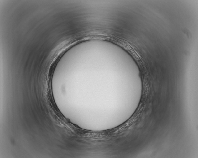 X0000112740338200908201039