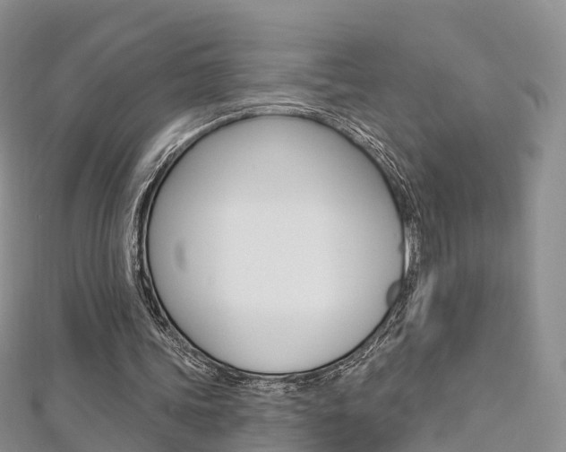 X0000112740339200908201039