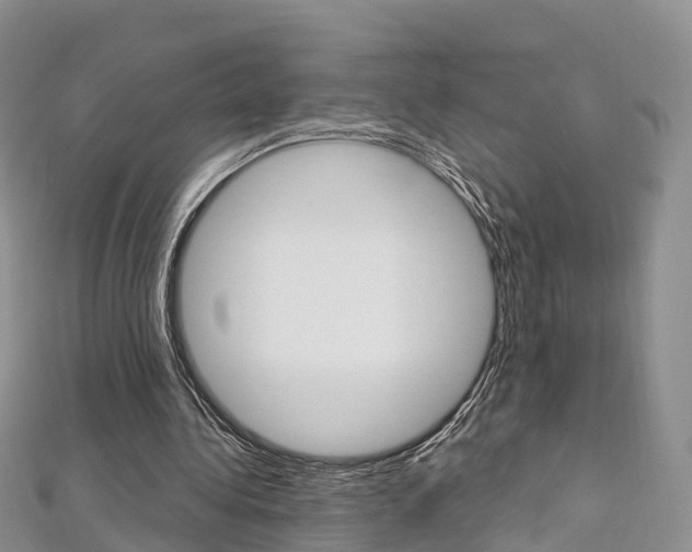 X0000112740340200908201040