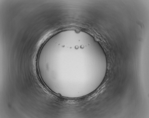 X0000112740341200908201040