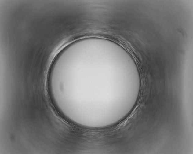 X0000112740344200908201040