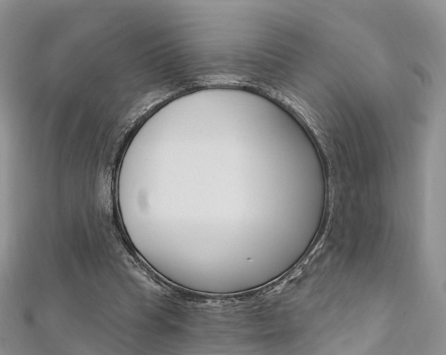 X0000112740345200908201040