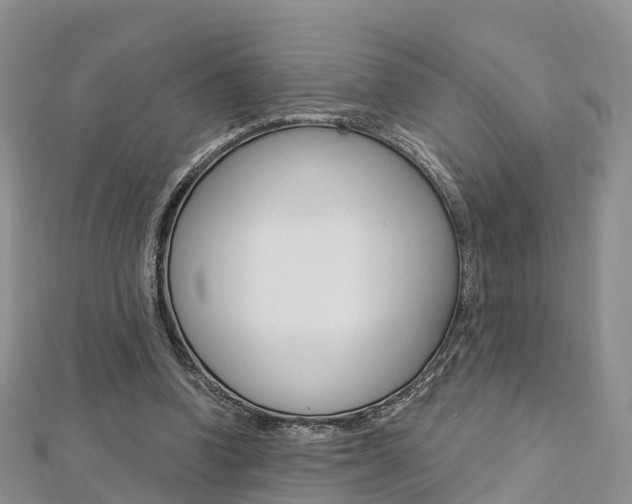 X0000112740346200908201040
