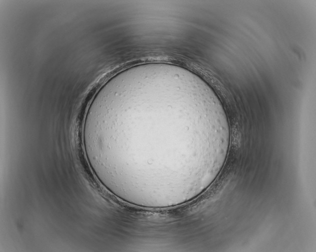 X0000112740347200908201040