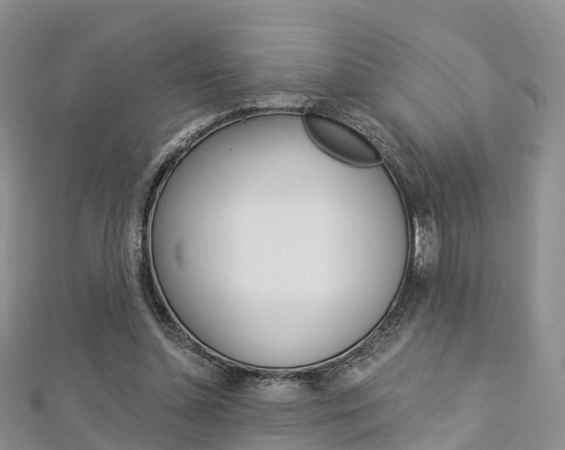 X0000112740348200908201040